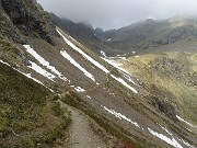 Spettacolo di fiori e marmotte sui sentieri per i Laghetti di Ponteranica – 18magg22  - FOTOGALLERY